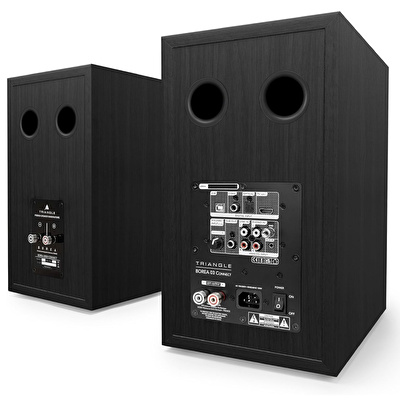 Triangle Borea Connect O3 Black Ash Bluetooth Raf Tipi Hoparlör